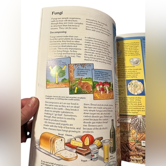 Usborne Science and Experiments The World of the Microscope Euc - Picture 3 of 4